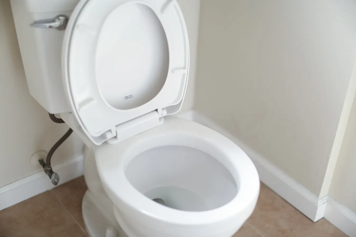 inodoro instalado para baño comercial o vivienda en Saavedra para instalación de sanitarios